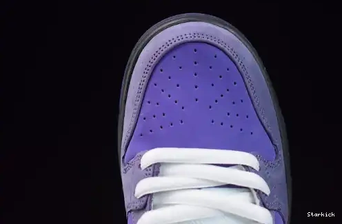 Concepts Purple SB Nike Low Lobster Dunk BV1310-555 0707